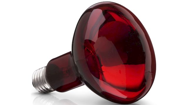 ot2lzwsjwfmlwdbc2uxfbj85ysqvklzo