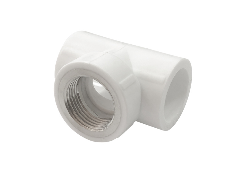 zk9gden3ary2qk3nn7mxlkv1q0j43b9a